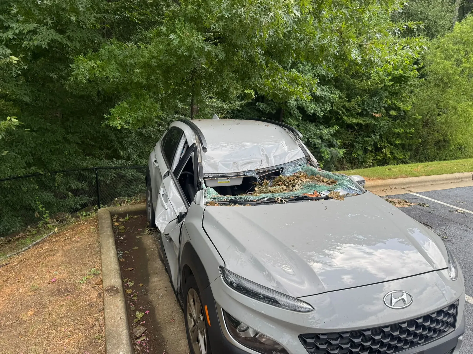 Collision damage. Glass out, roof and bonnet crushed. Recovered and moved intact.